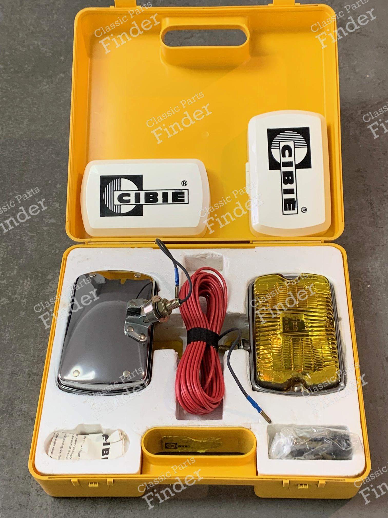 193b3bab-400d-4c10-b626-