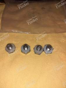 Chrome-plated trim screws - CITROËN 2CV - ?- thumb-4