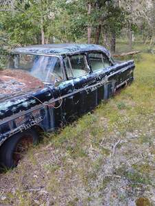 54' Ford - FORD Mainline / Customline / Crestline - thumb-1