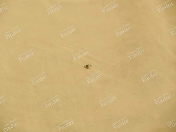 Getönte Original-Windschutzscheibe - PEUGEOT 305 - 4