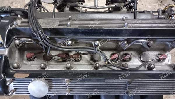 4.200 c.c. 6 Zylinder - JAGUAR Type E - W344- 3