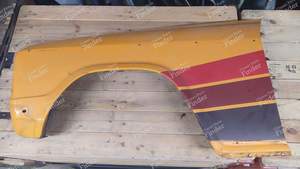 Left front fender - RENAULT 6 (R6)