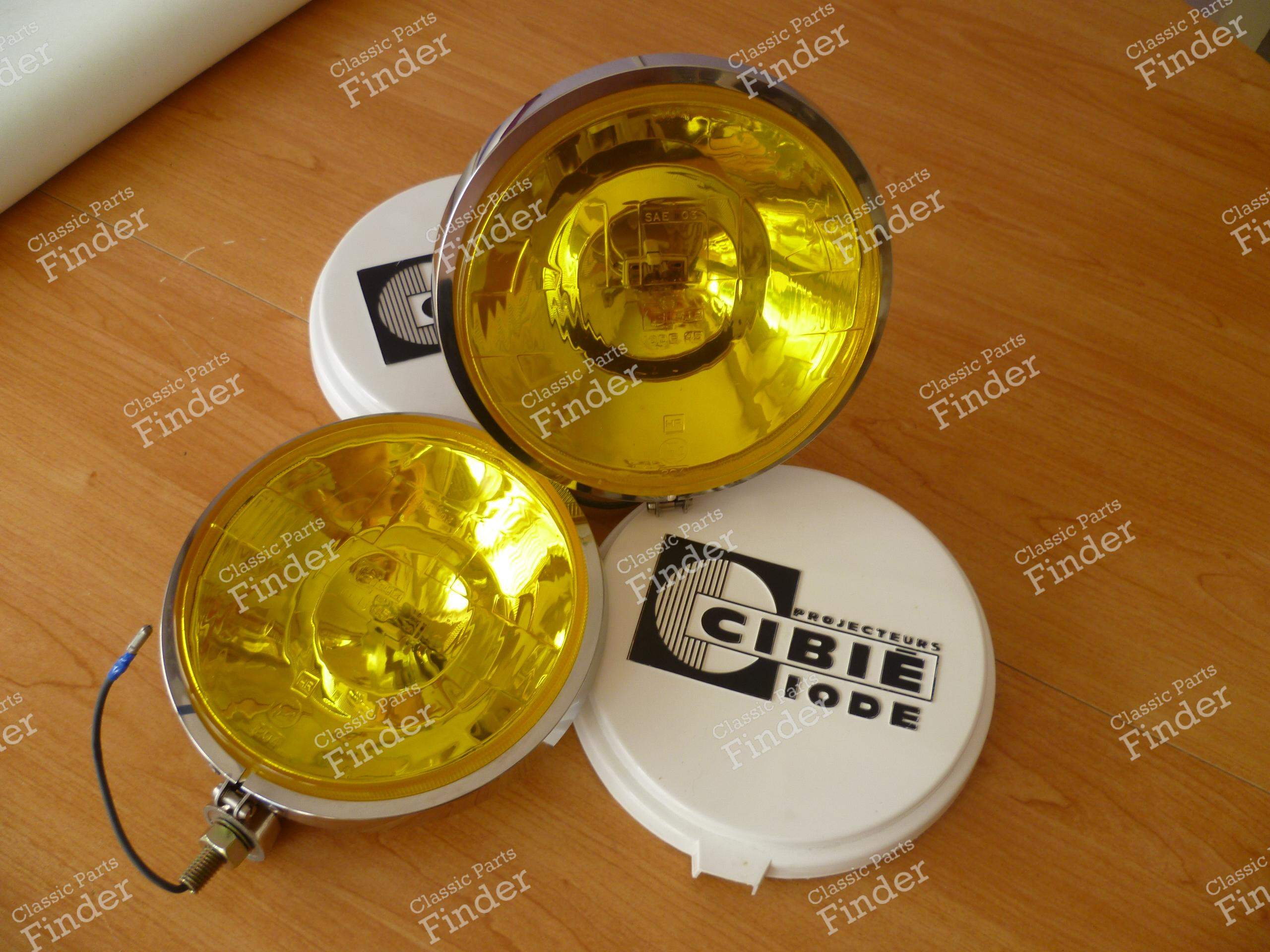 c1e65ed8-191f-475e-9c68-