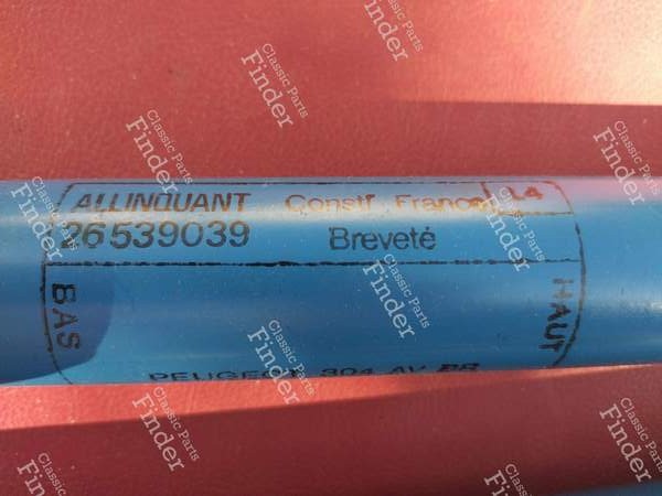 Front Shock Absorbers - PEUGEOT 304 - 26539039- 2