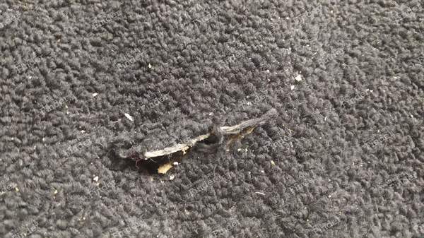 Tapis de sol pour CX série 2 - CITROËN CX - 7