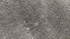 Tapis de sol pour CX série 2 - CITROËN CX - thumb-6